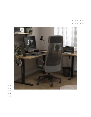 Mark Adler Xeno 7.6 two-motor electric desk stand