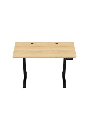 Mark Adler Leader 6.9 Electric Desk