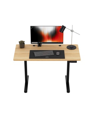 Mark Adler Leader 6.9 Electric Desk