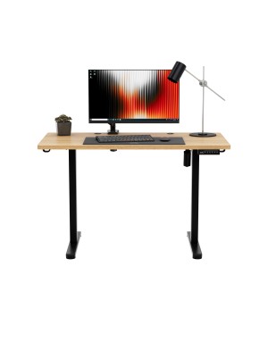 Mark Adler Leader 6.9 Electric Desk