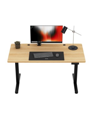 Mark Adler Leader 7.3 Craft electric desk