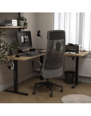 Mark Adler Xeno 7.6 two-motor electric desk stand